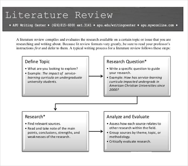 literature review example
